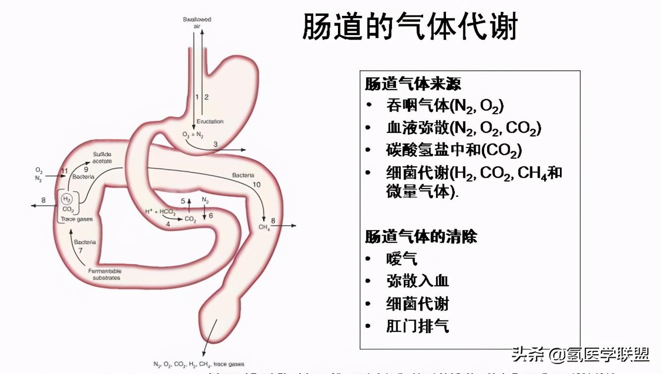 最新款氫氣機(jī)，重塑能源格局的革新力量，引領(lǐng)未來能源革命