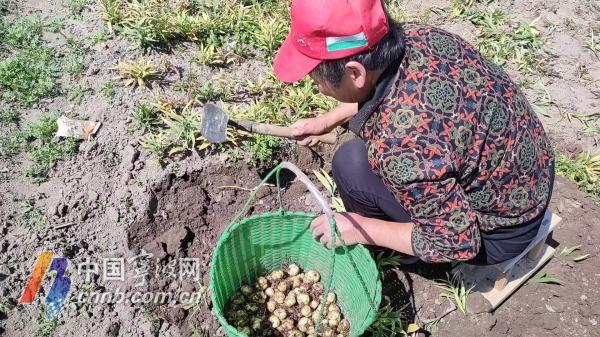 貝農(nóng)最新圖片，揭開全新世界的神秘面紗