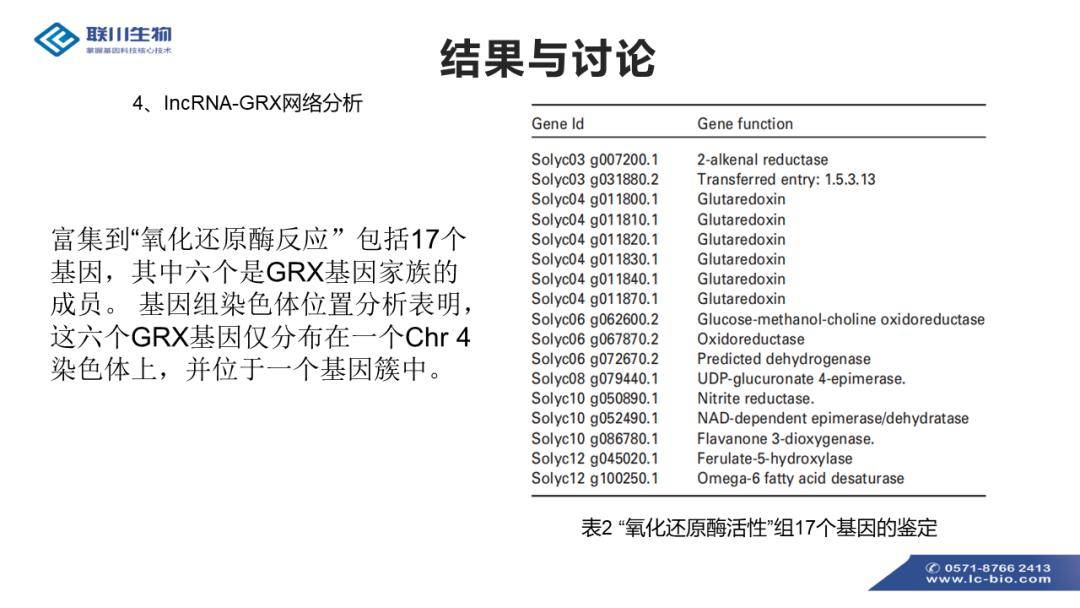 一碼一肖100%的資料,調(diào)整方案執(zhí)行細節(jié)_XR65.283