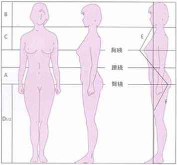 重塑審美認知，最新女生標準身材解析