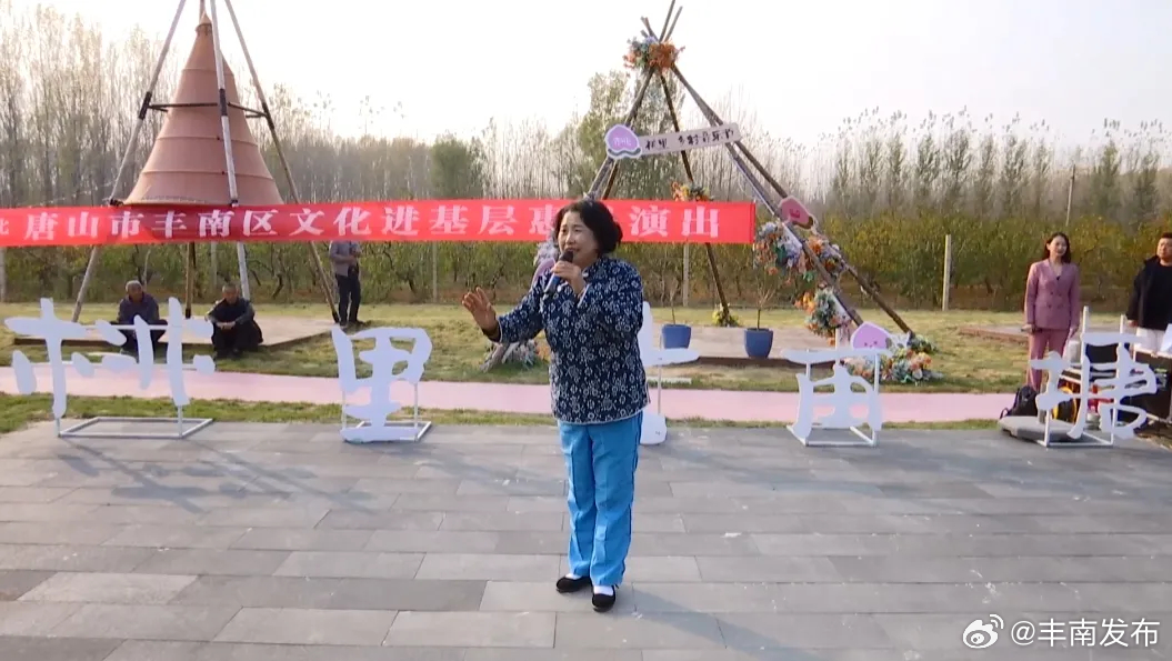 豐南區(qū)文化局最新項目動態(tài)，文化發(fā)展新篇章及其影響