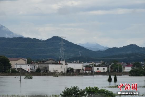江西永修洪水最新情況報告，實時更新洪水動態(tài)及影響分析