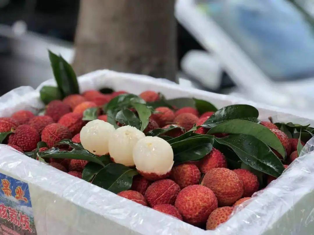羊肉產業(yè)最新動態(tài)，趨勢、市場展望與未來動態(tài)分析