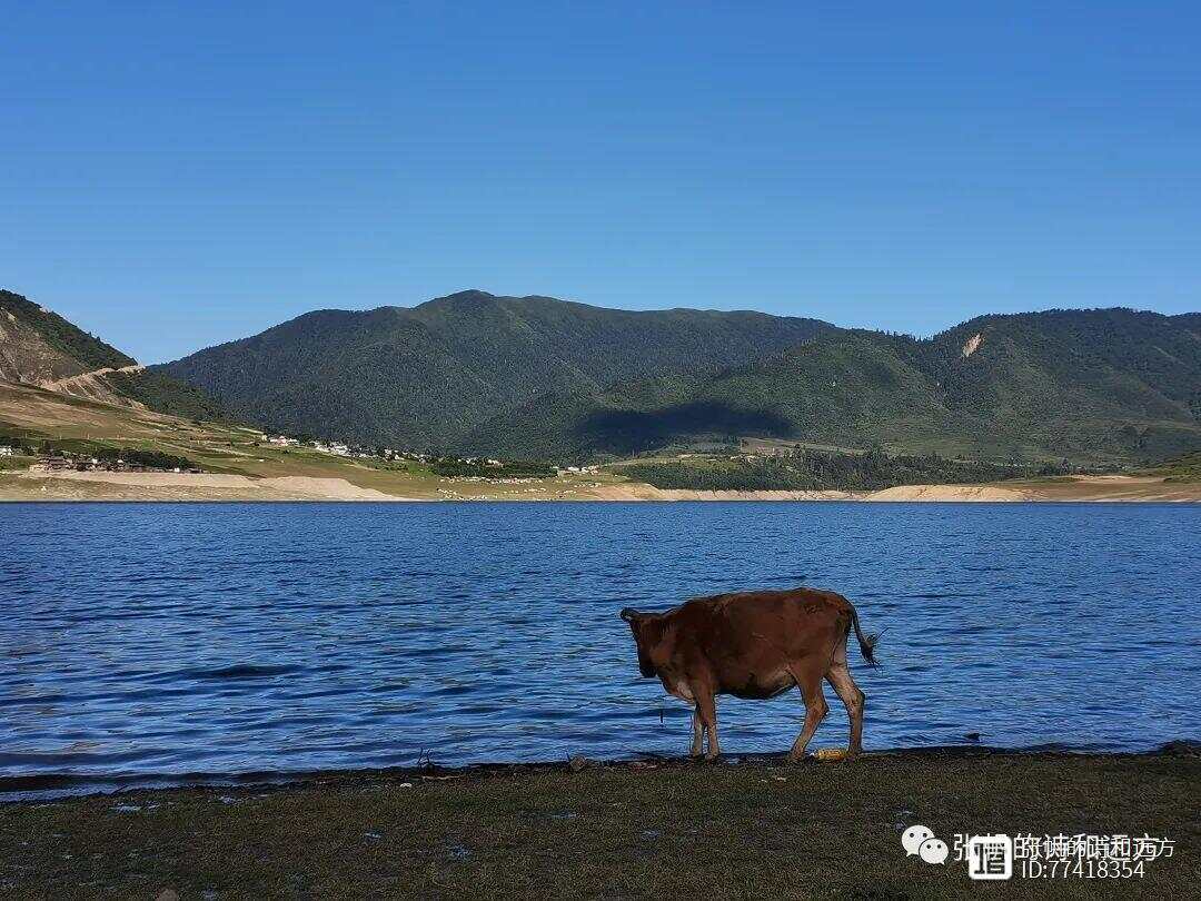 冶勒湖最新動態(tài)與魅力展現(xiàn)，最新信息與美景一覽