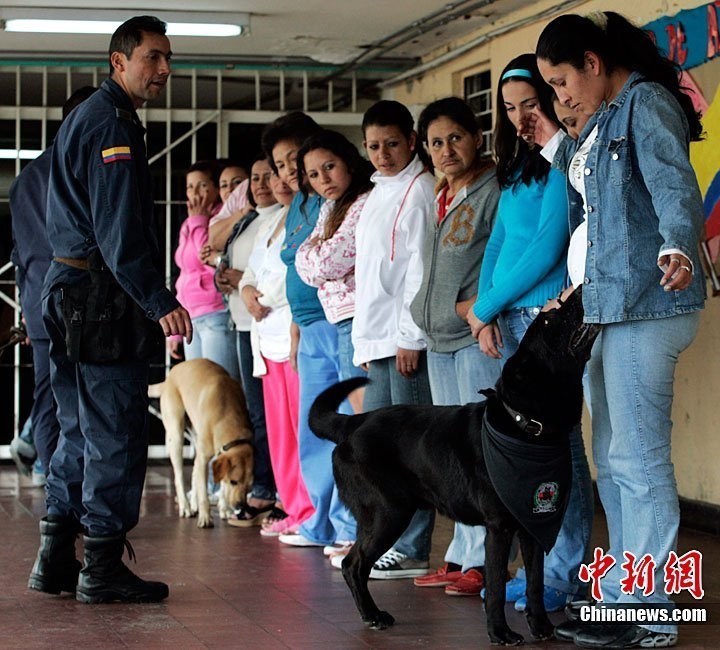 最新女子監(jiān)獄，重塑女性罪犯的未來之路之旅