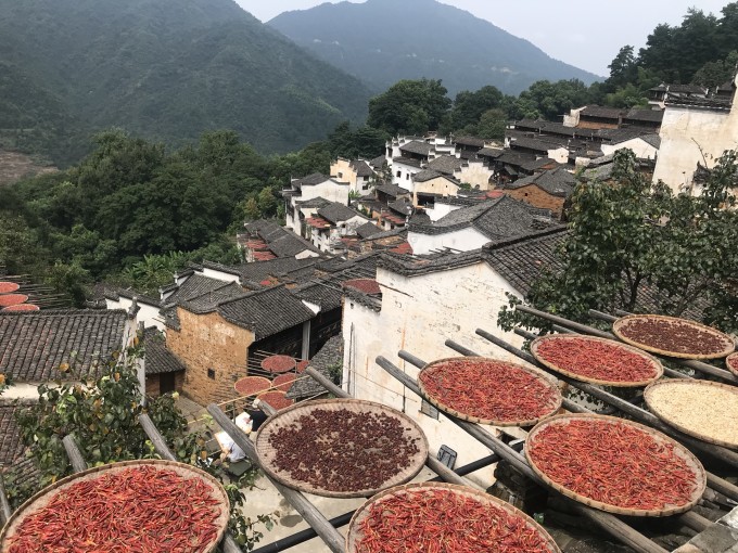 婺源最新事件，文化與旅游融合助力地方發(fā)展新浪潮